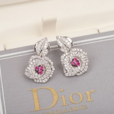 Christian Dior Earrings